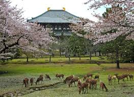 Parc de Nara